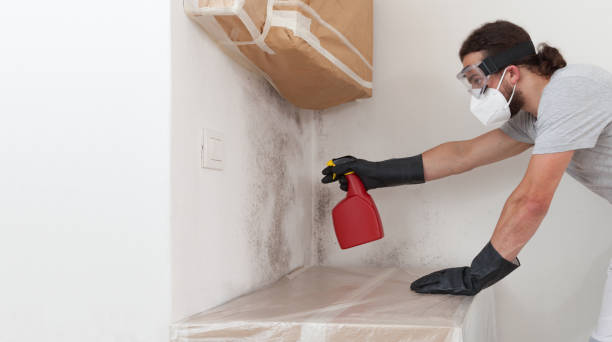 Professional Mold Removal technician working in Marblehead, MA