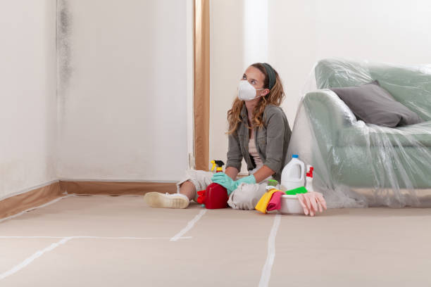 Reliable Mold Removal contractor in Marblehead, MA by WQB Mold Removal